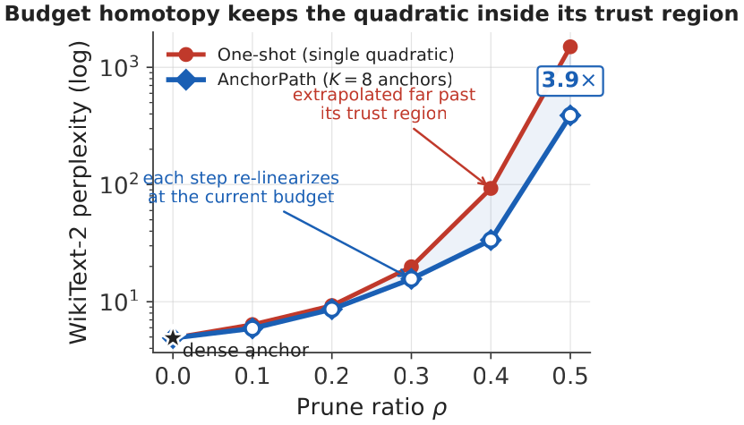 Budget homotopy geometry: one-shot extrapolates one quadratic, AnchorPath re-estimates