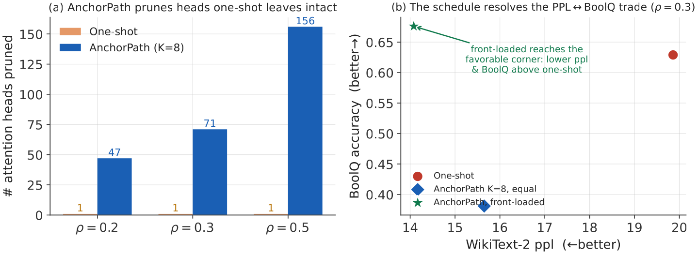 White-box: heads pruned and perplexity-accuracy plane