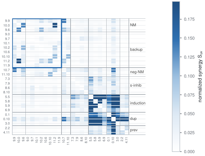 Synergy matrix