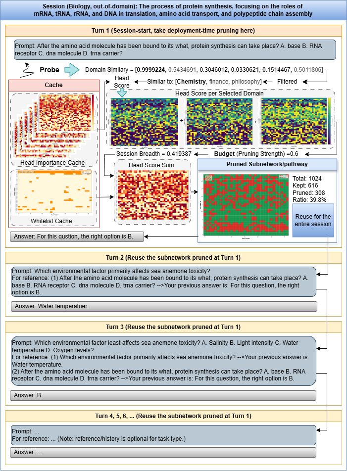 OOD biology multi-turn case study